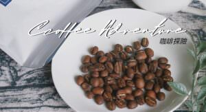 網購咖啡豆推薦 咖啡探險 咖啡豆專門店