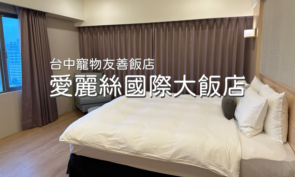 台中寵物友善飯店 愛麗絲國際大飯店 台中西區住宿 台中飯店推薦