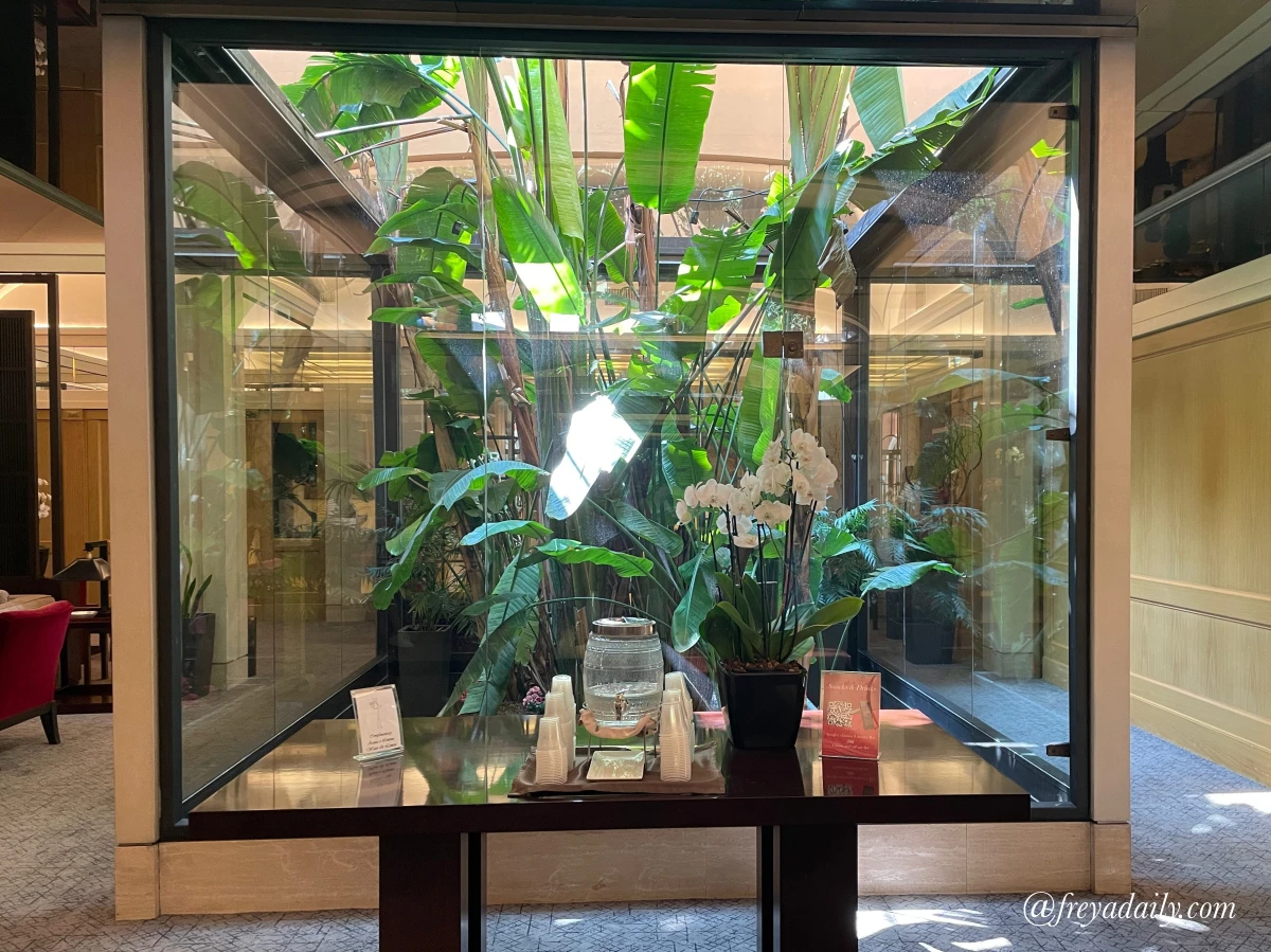 義大利 Hotel Dei Borgognoni|近西班牙廣場、治安好,羅馬住宿推薦,沉浸 19 世紀古典奢華的飯店選擇 - 第4張圖 義大利 Hotel Dei Borgognoni|近西班牙廣場、治安好,羅馬住宿推薦,沉浸 19 世紀古典奢華的飯店選擇